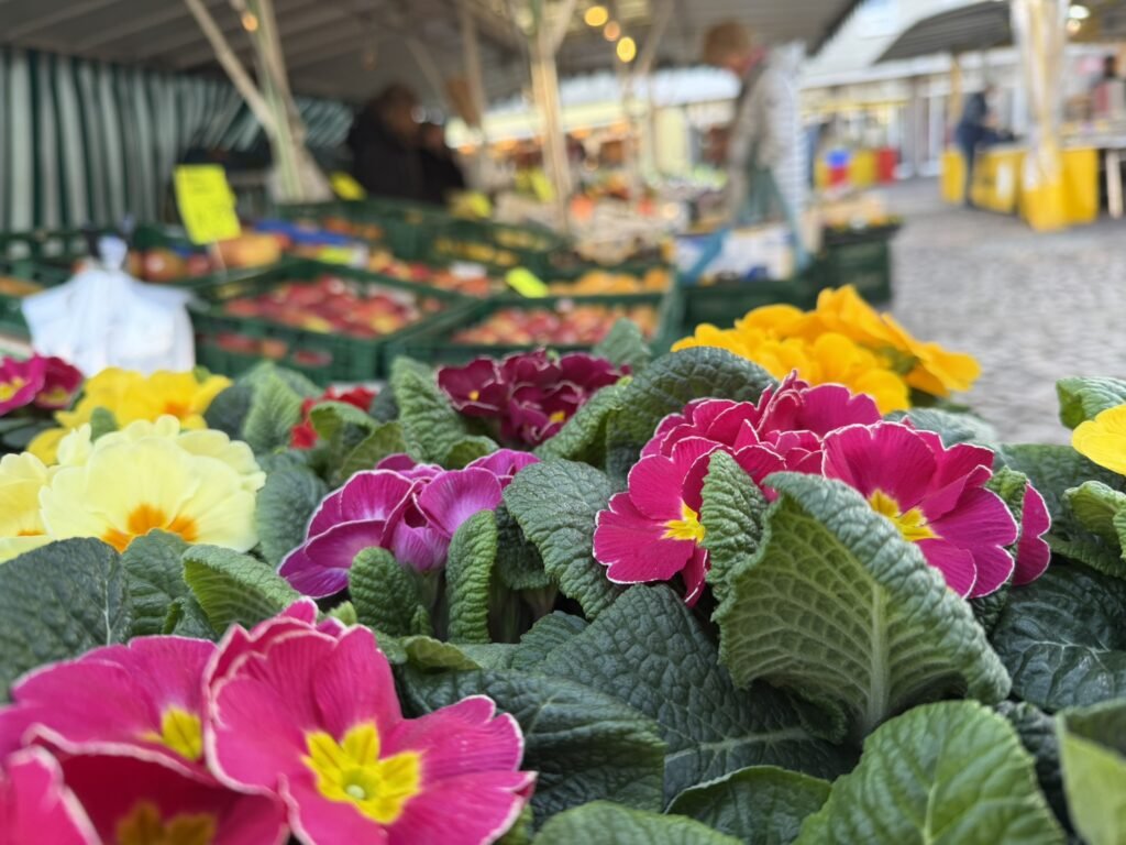 Blumen und Marktstände im Hintergrund